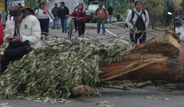 Image for U Ekvadoru pucali na vozilo predsednika Noboe