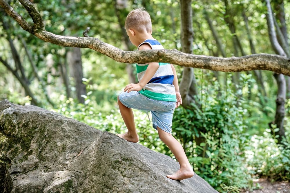 Deci treba samostalna igra u prirodi