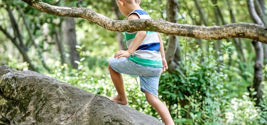 Deci treba samostalna igra u prirodi