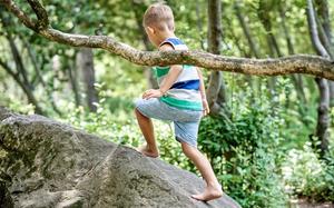 Deci treba samostalna igra u prirodi