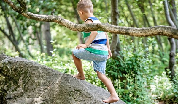 Deci treba samostalna igra u prirodi