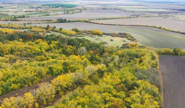 Image for Sačuvan Slavujev lug