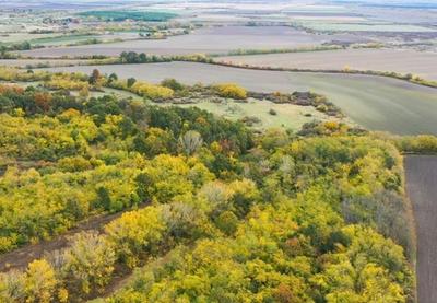 Image for Sačuvan Slavujev lug