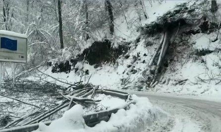 Image for Vanredna situacija proglašena na teritoriji devet opština