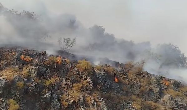Image for Stradao vojnik tokom gašenja požara u Crnoj Gori