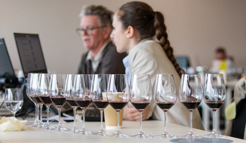 Ovogodišnji Wine Vision dolazi u trenutku kada domaća vinska industrija ima znatno više razloga za samopouzdanje nego pre samo nekoliko godina
