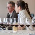 Ovogodišnji Wine Vision dolazi u trenutku kada domaća vinska industrija ima znatno više razloga za samopouzdanje nego pre samo nekoliko godina