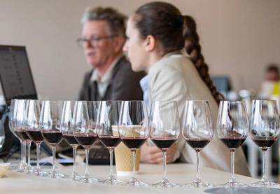 Ovogodišnji Wine Vision dolazi u trenutku kada domaća vinska industrija ima znatno više razloga za samopouzdanje nego pre samo nekoliko godina