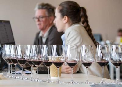Ovogodišnji Wine Vision dolazi u trenutku kada domaća vinska industrija ima znatno više razloga za samopouzdanje nego pre samo nekoliko godina