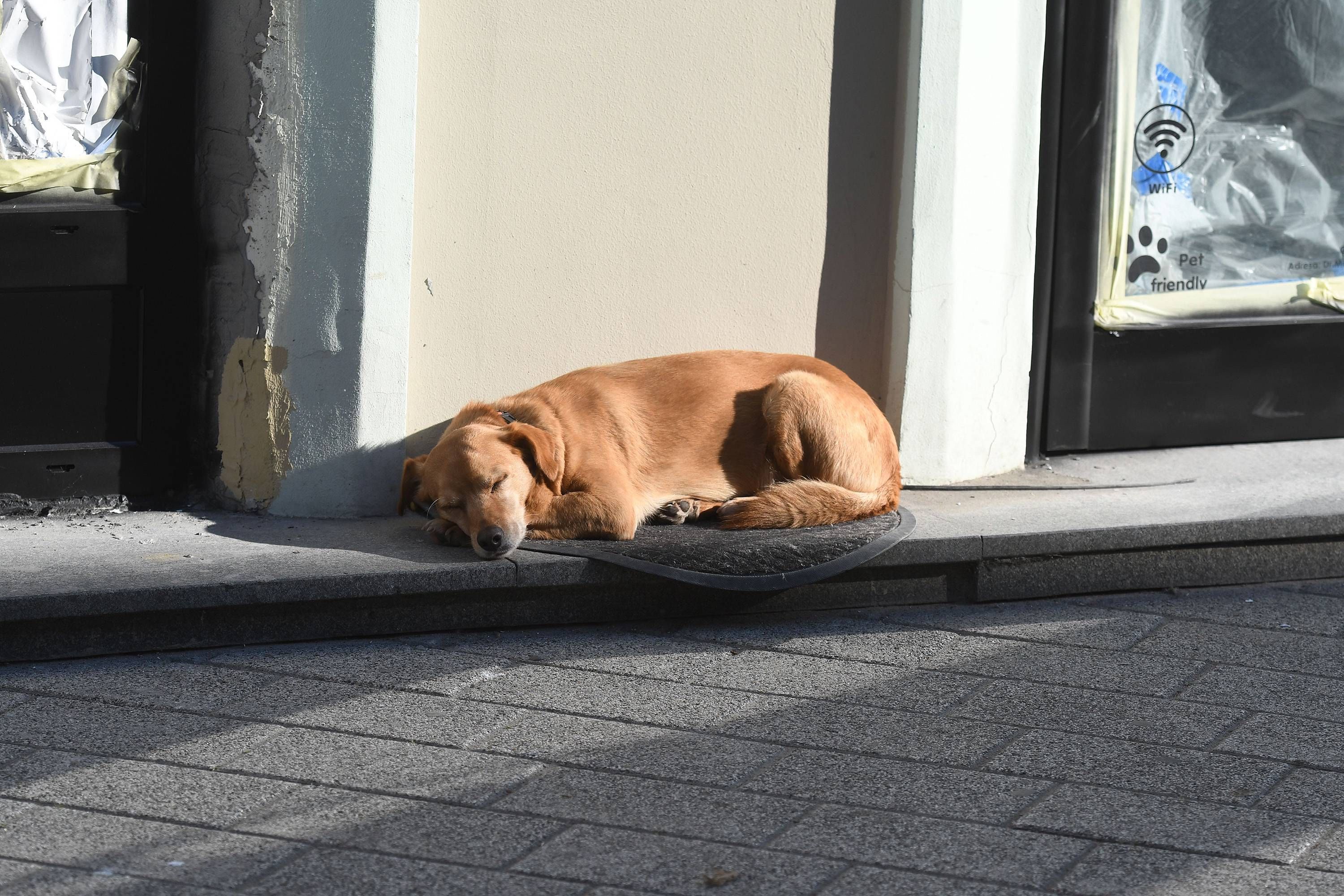Image for Danas promenljivo oblačno, do 15 stepeni