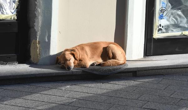 Image for Danas promenljivo oblačno, do 15 stepeni