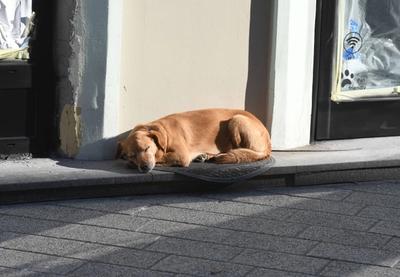 Image for Danas promenljivo oblačno, do 15 stepeni