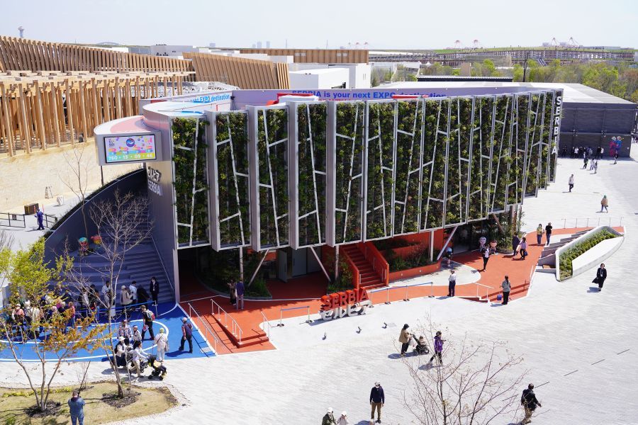 Image for Gambija potvrdila učešće