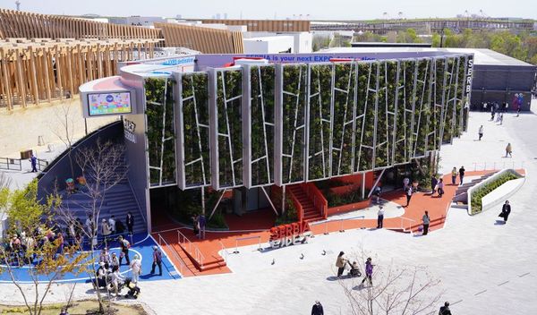 Image for Gambija potvrdila učešće