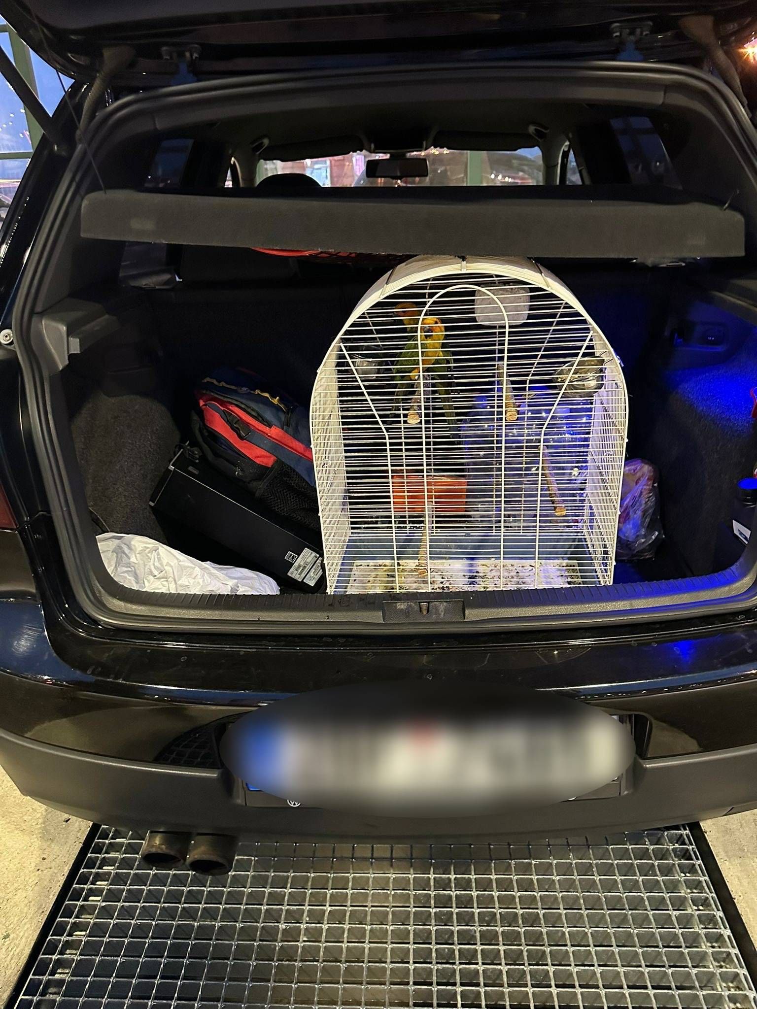 Image for Na Horgošu sprečena dva pokušaja krijumčarenja zaštićenih vrsta ptica 