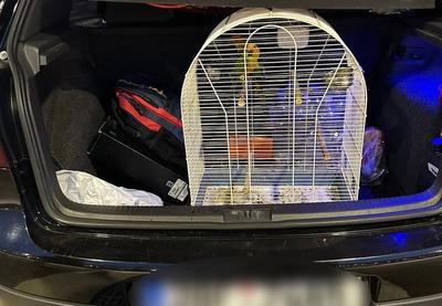 Image for Na Horgošu sprečena dva pokušaja krijumčarenja zaštićenih vrsta ptica