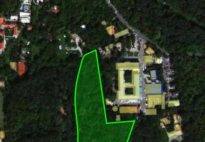 Image for Odogovrnost za seču šume