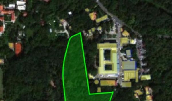 Image for Odogovrnost za seču šume