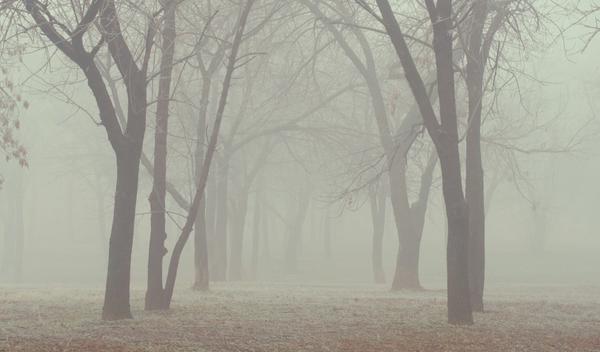 Image for Vremenska prognoza za utorak, 30. decembar: Oblačno posle vedrog jutra, od minus devet do šest