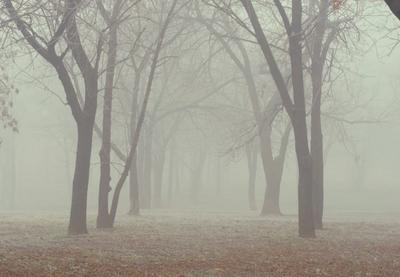 Image for Vremenska prognoza za utorak, 30. decembar: Oblačno posle vedrog jutra, od minus devet do šest