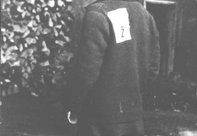 Image for Od prvih zločina do Jasenovca – put u genocid