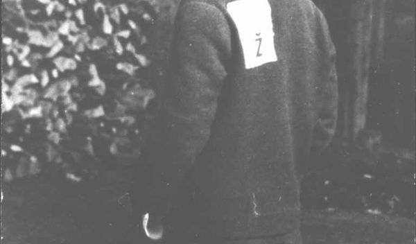 Image for Od prvih zločina do Jasenovca – put u genocid