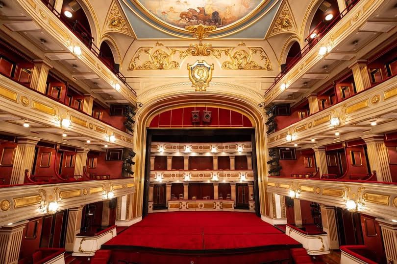 Image for Napadnuta dirigentkinja