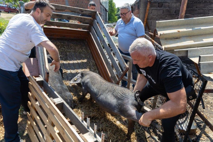 Image for Pomoć oštećenim gazdinstvima