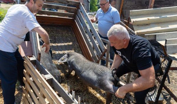 Image for Pomoć oštećenim gazdinstvima
