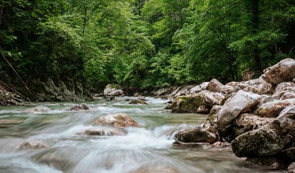 Image for Vanredne restrikcije vode u Arilju