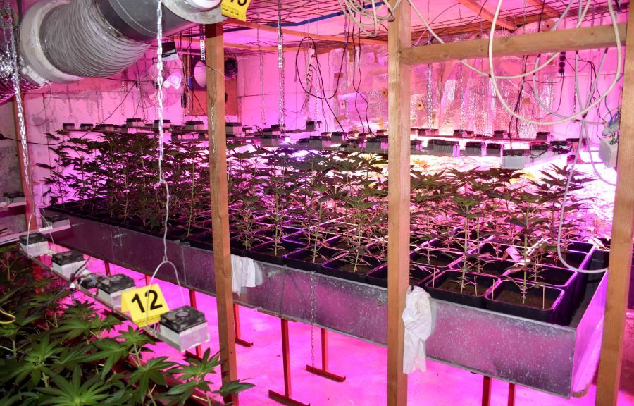 Image for Srbija pobedila Španiju