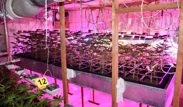 Image for Srbija pobedila Španiju