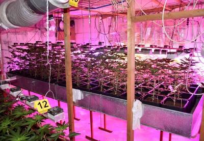 Image for Srbija pobedila Španiju