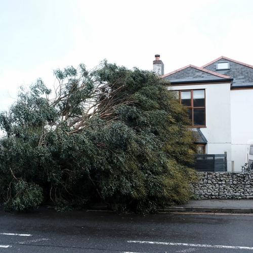Image for Zbog prirodnih katastrofa u svetu pričinjeno 224 milijardi dolara štete prošle godine