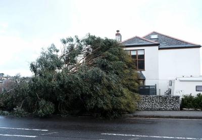 Image for Zbog prirodnih katastrofa u svetu pričinjeno 224 milijardi dolara štete prošle godine