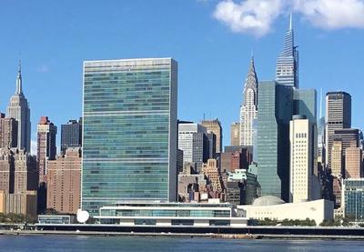 Image for Samit o Palestini