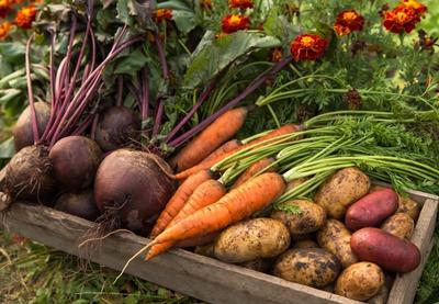 Image for Ove namirnice mogu da vam pomognu da snizite holesterol: Svuda su dostupne