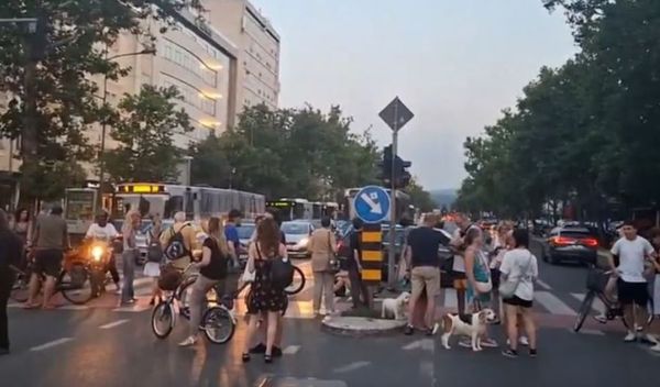 Image for Preminuo profesor Pavlović