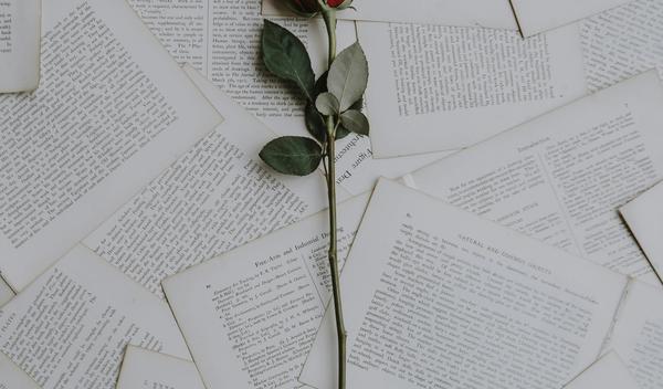 Image for Horoskop za 27. novembar: Privlačite misterioznu osobu