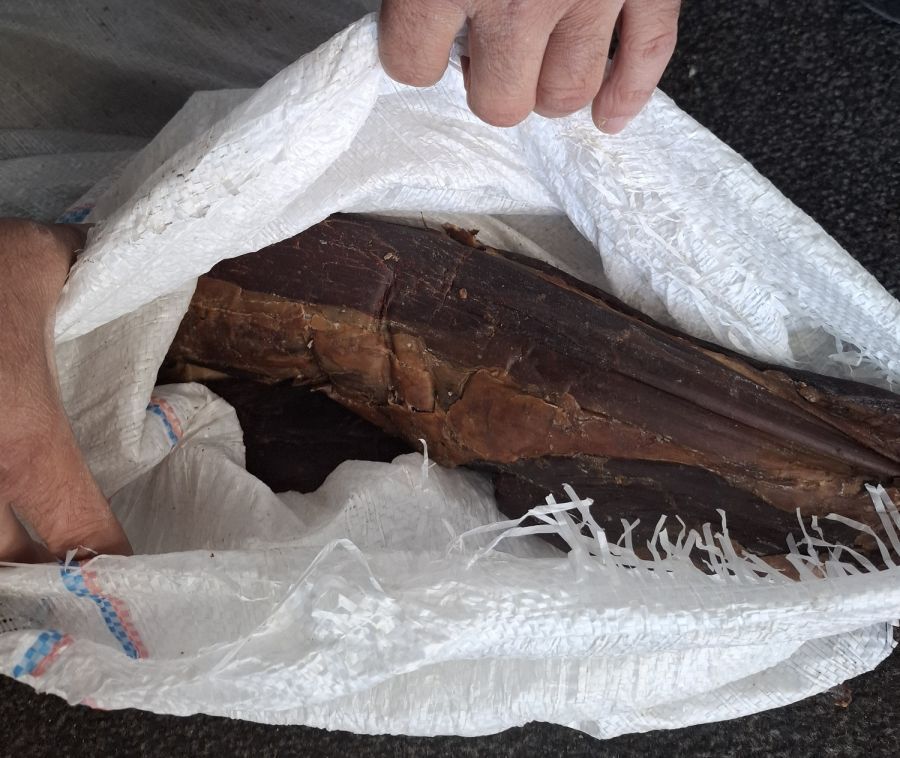 Image for Zaplena mesa, kajmaka, surutke