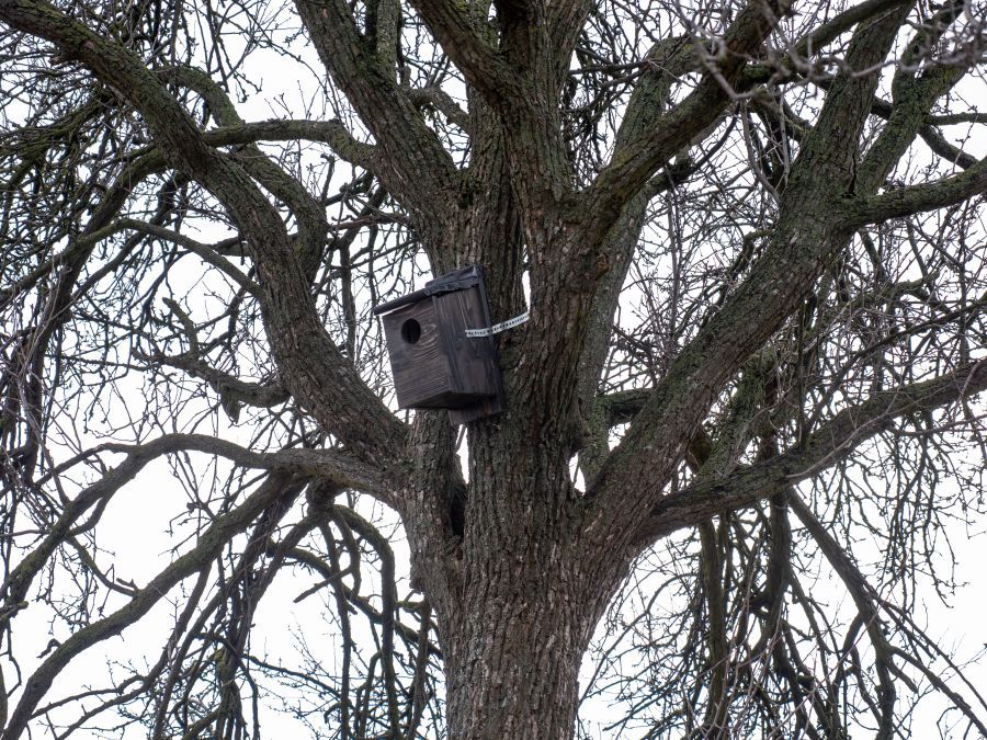 Image for Istraživaje retkih staništa