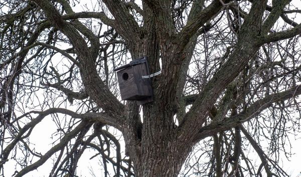 Image for Istraživaje retkih staništa