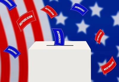 Image for Pirova pobeda demokrata