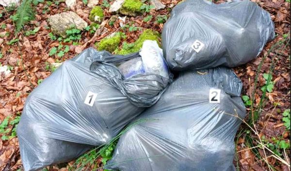 Image for Zaplenjeno 30 kg marihuane