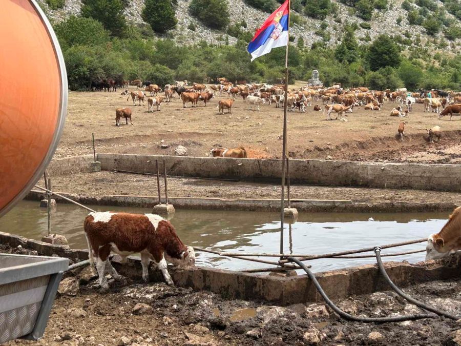 Image for Cisterne za Suvu planinu