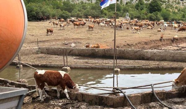 Image for Cisterne za Suvu planinu