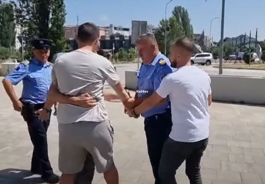 Image for Priveden Veljković