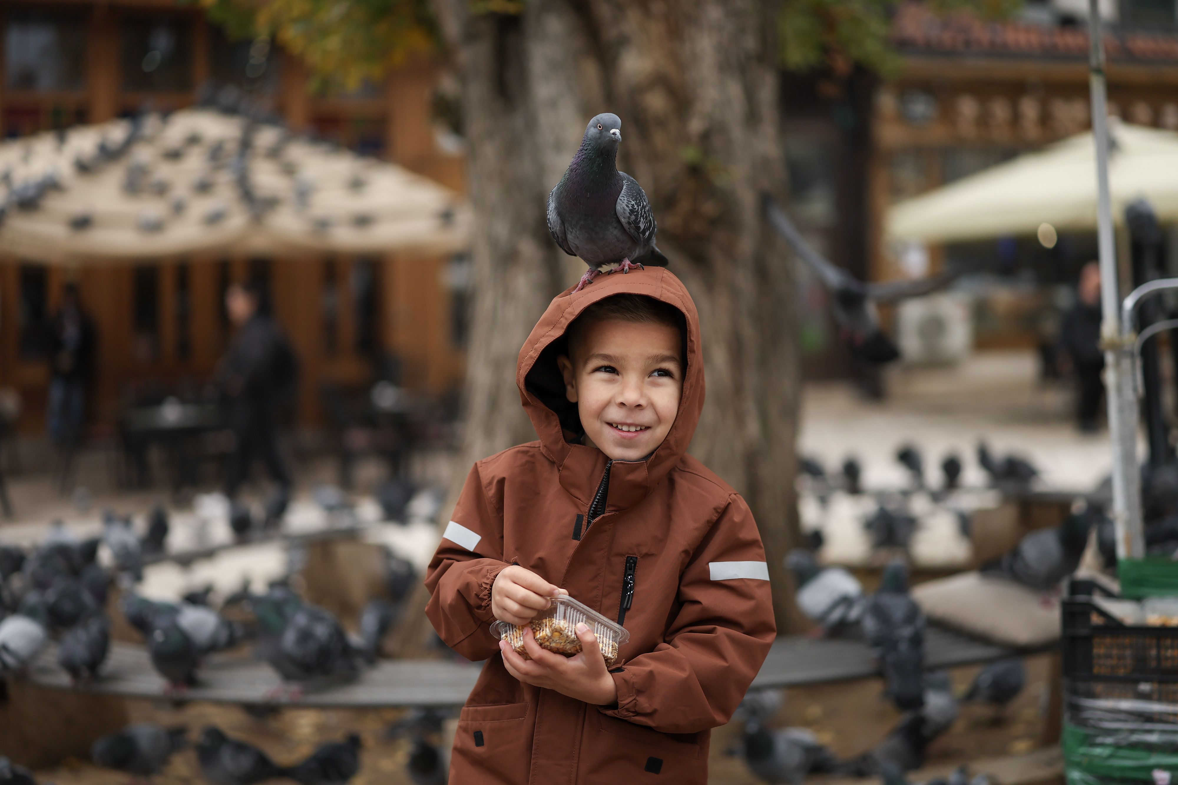 Image for Danas tri decenije od potpisivanja Dejtonskog sporazuma