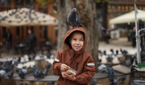Image for Danas tri decenije od potpisivanja Dejtonskog sporazuma