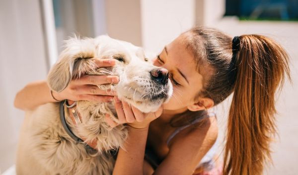 Image for Odgovorno vlasništvo